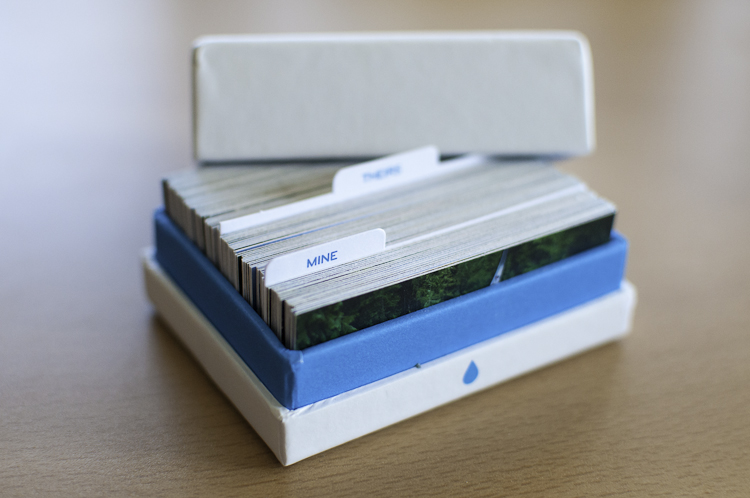 Moo Mini Cards