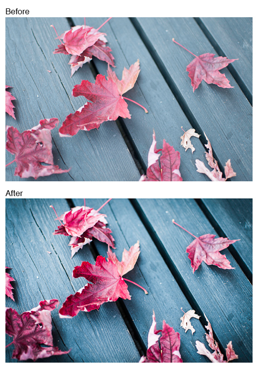 Red Leaves Red Leaves