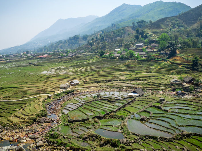 Sapa rice fields in Vietnam