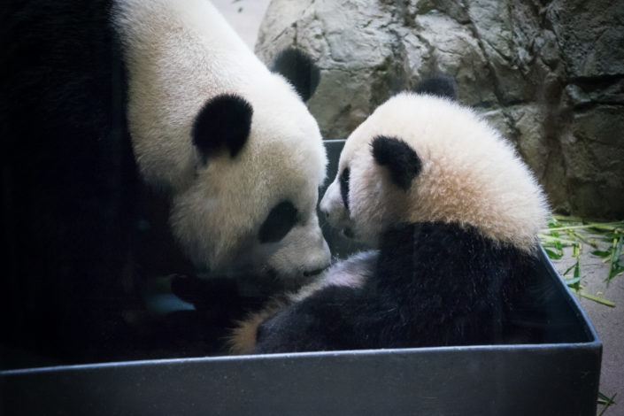 Bei Bei and Mom