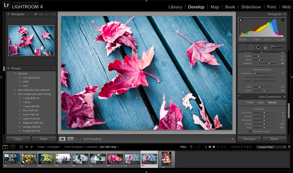 10 Quick and Simple Ways to Enhance Your Photos